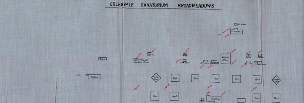 colour map of Greenvale Sanatorium